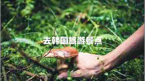 去韓國旅游景點(diǎn) 去韓國旅游景點(diǎn)