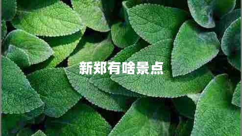 新鄭有啥景點(diǎn)