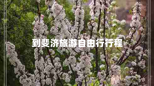 到斐濟(jì)旅游自由行行程