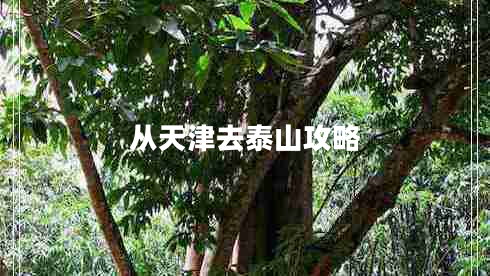 從天津去泰山攻略