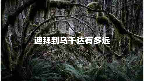 迪拜到烏干達有多遠