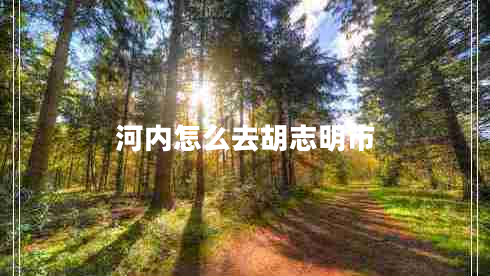 河內(nèi)怎么去胡志明市