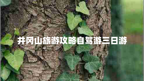 井岡山旅游攻略自駕游三日游 井岡山旅游攻略自駕游三日游