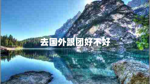 去國(guó)外跟團(tuán)好不好