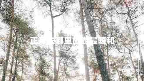 正月去哪里旅游最暖和 正月去哪里旅游最暖和