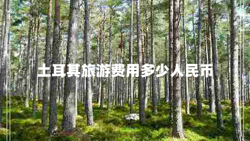 土耳其旅游費(fèi)用多少人民幣