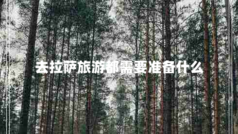 去拉薩旅游都需要準(zhǔn)備什么