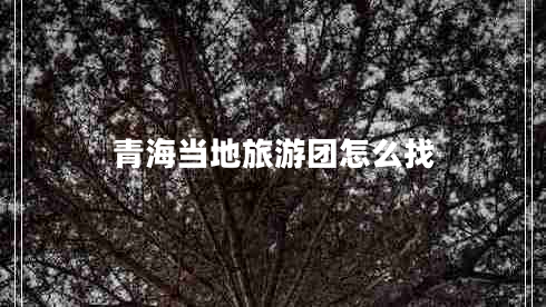 青海當?shù)芈糜螆F怎么找