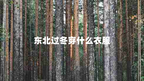 東北過冬穿什么衣服 東北過冬穿什么衣服