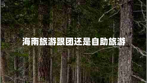 海南旅游跟團(tuán)還是自助旅游 海南旅游跟團(tuán)還是自助旅游