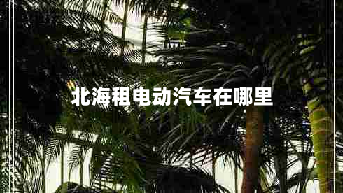 北海租電動汽車在哪里 北海租電動汽車在哪里