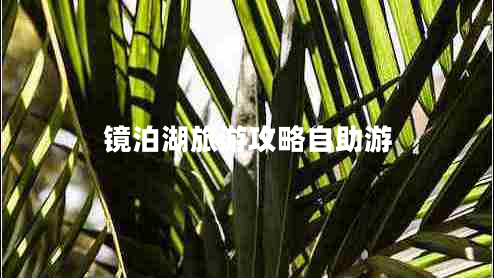 鏡泊湖旅游攻略自助游