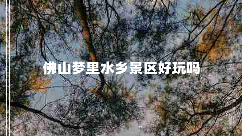 佛山夢(mèng)里水鄉(xiāng)景區(qū)好玩嗎