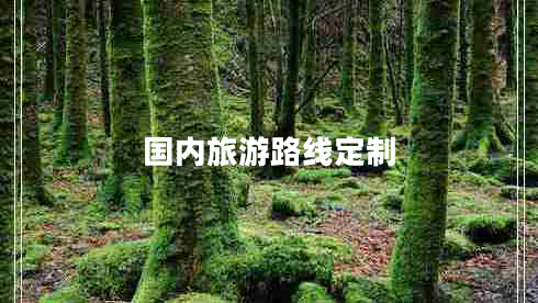 國(guó)內(nèi)旅游路線定制