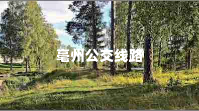 亳州公交線路 亳州公交線路