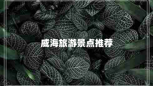 威海旅游景點(diǎn)推薦 威海旅游景點(diǎn)推薦