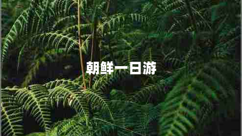 朝鮮一日游 朝鮮一日游