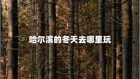 哈爾濱的冬天去哪里玩