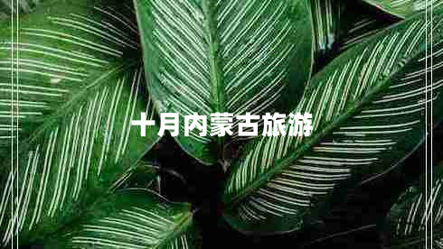 十月內(nèi)蒙古旅游 十月內(nèi)蒙古旅游