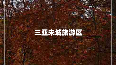 三亞宋城旅游區(qū) 三亞宋城旅游區(qū)