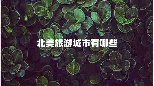 北美旅游城市有哪些