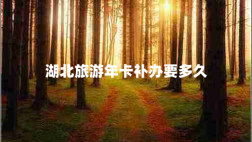 湖北旅游年卡補(bǔ)辦要多久