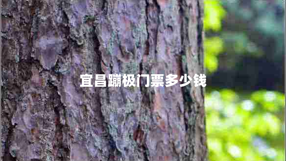 宜昌蹦極門(mén)票多少錢(qián)