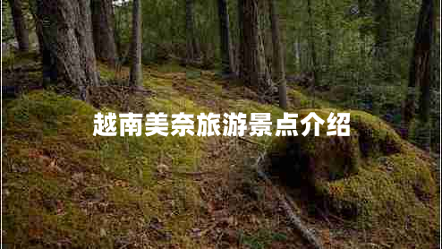 越南美奈旅游景點介紹