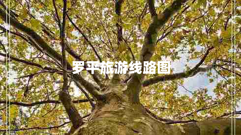 羅平旅游線路圖 羅平旅游線路圖