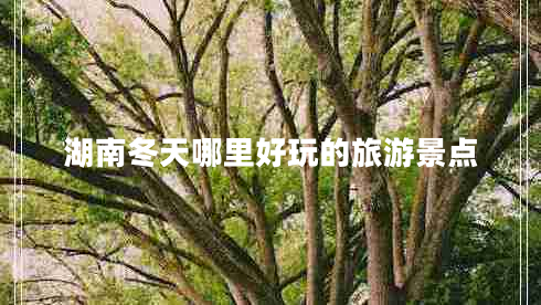 湖南冬天哪里好玩的旅游景點(diǎn)
