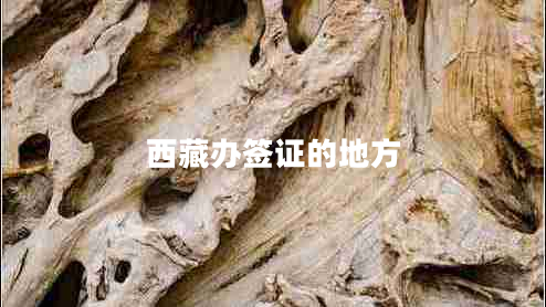 西藏辦簽證的地方