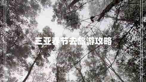 三亞春節(jié)去旅游攻略