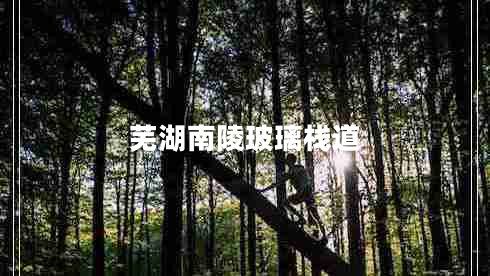 蕪湖南陵玻璃棧道