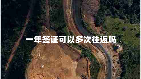 一年簽證可以多次往返嗎