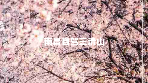 南昌自駕三清山 南昌自駕三清山