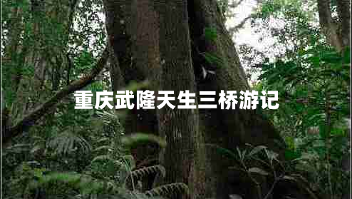 重慶武隆天生三橋游記 重慶武隆天生三橋游記