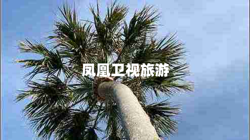 鳳凰衛(wèi)視旅游 鳳凰衛(wèi)視旅游