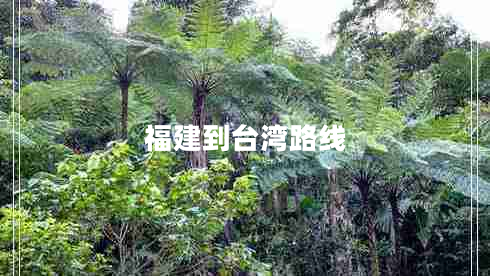 福建到臺(tái)灣路線 福建到臺(tái)灣路線