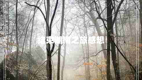 結(jié)束湖南之旅感想