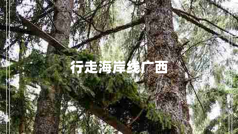 行走海岸線廣西 行走海岸線廣西