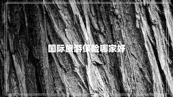 國(guó)際旅游保險(xiǎn)哪家好