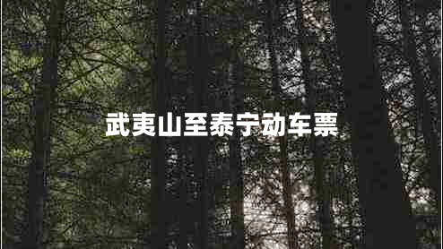 武夷山至泰寧動(dòng)車票