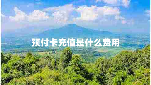 預付卡充值是什么費用