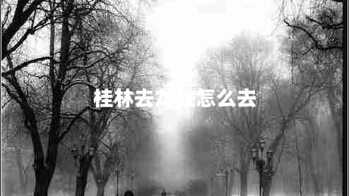 桂林去龍勝怎么去