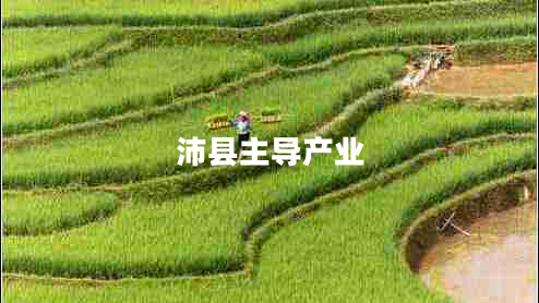 沛縣主導(dǎo)產(chǎn)業(yè)
