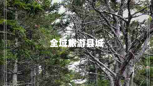 全域旅游縣城
