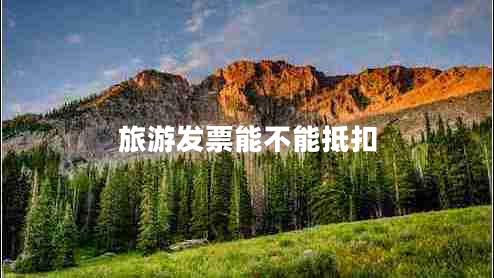 旅游發(fā)票能不能抵扣 旅游發(fā)票能不能抵扣