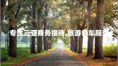 專注三亞商務(wù)接待,旅游包車服務(wù)