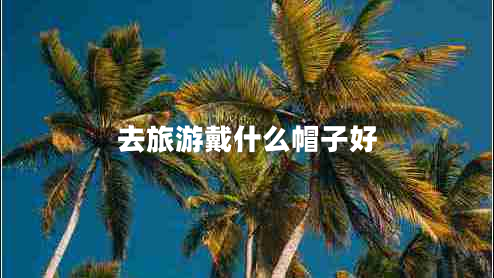 去旅游戴什么帽子好 去旅游戴什么帽子好