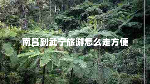 南昌到武寧旅游怎么走方便